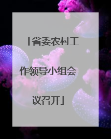 省委农村工作领导小组会议召开
