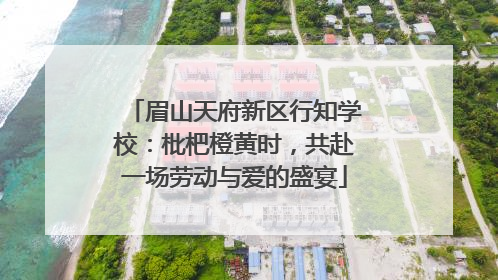 眉山天府新区行知学校：枇杷橙黄时，共赴一场劳动与爱的盛宴