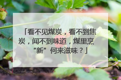 看不见煤炭，看不到焦炭，闻不到味道，煤里烹“新”何来滋味？