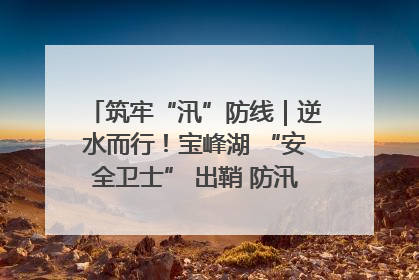 筑牢“汛”防线｜逆水而行！宝峰湖 “安全卫士” 出鞘 防汛应急再添硬核力量