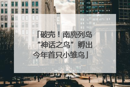 破壳！南麂列岛“神话之鸟”孵出今年首只小雏鸟