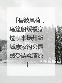 碧波风荷，乌篷船缓缓穿过，来扬州新城廖家沟公园感受诗意清凉