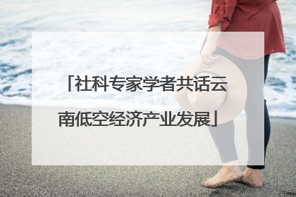 社科专家学者共话云南低空经济产业发展