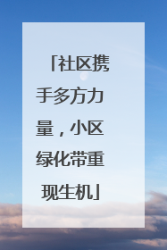 社区携手多方力量，小区绿化带重现生机