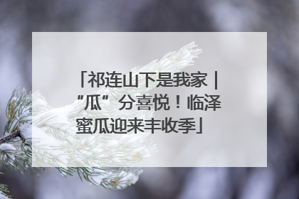 祁连山下是我家｜“瓜”分喜悦！临泽蜜瓜迎来丰收季