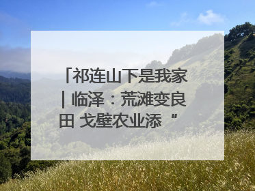 祁连山下是我家｜临泽：荒滩变良田 戈壁农业添“绿”生“金”