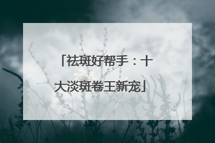 祛斑好帮手：十大淡斑卷王新宠