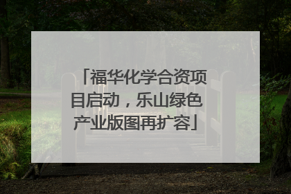 福华化学合资项目启动，乐山绿色产业版图再扩容