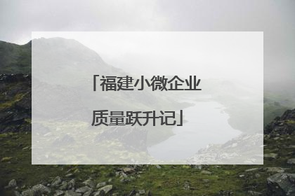福建小微企业质量跃升记