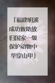 福建明溪成功救助放归国家一级保护动物中华穿山甲