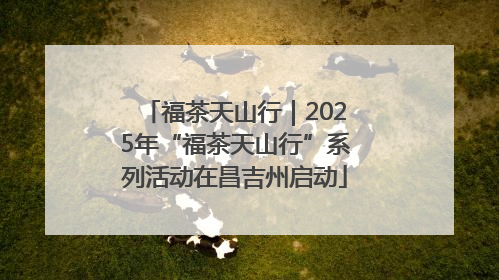福茶天山行｜2025年“福茶天山行”系列活动在昌吉州启动