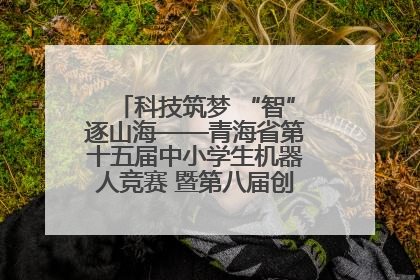 科技筑梦 “智”逐山海——青海省第十五届中小学生机器人竞赛 暨第八届创新设计大赛见闻