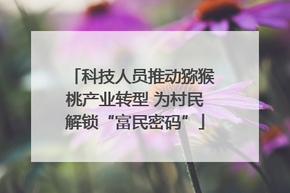 科技人员推动猕猴桃产业转型 为村民解锁“富民密码”