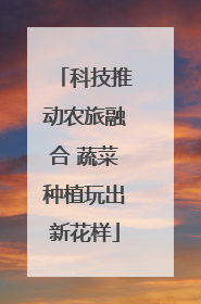 科技推动农旅融合 蔬菜种植玩出新花样