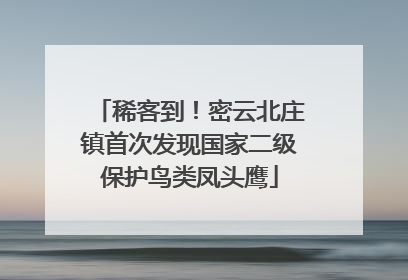 稀客到！密云北庄镇首次发现国家二级保护鸟类凤头鹰