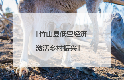 竹山县低空经济激活乡村振兴