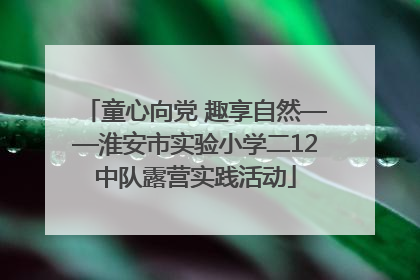 童心向党 趣享自然——淮安市实验小学二12中队露营实践活动