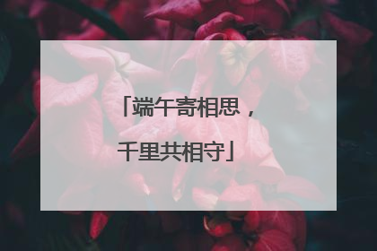 端午寄相思，千里共相守