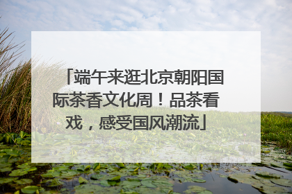 端午来逛北京朝阳国际茶香文化周！品茶看戏，感受国风潮流