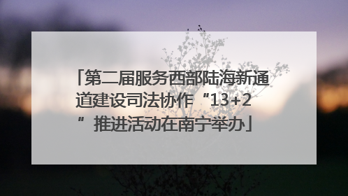 第二届服务西部陆海新通道建设司法协作“13+2”推进活动在南宁举办