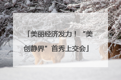 美丽经济发力！“美创静界”首秀上交会