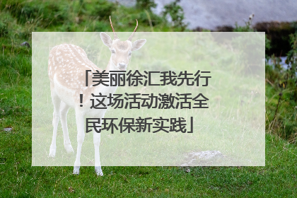 美丽徐汇我先行！这场活动激活全民环保新实践