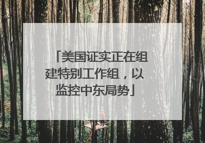 美国证实正在组建特别工作组，以监控中东局势