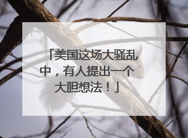 美国这场大骚乱中，有人提出一个大胆想法！