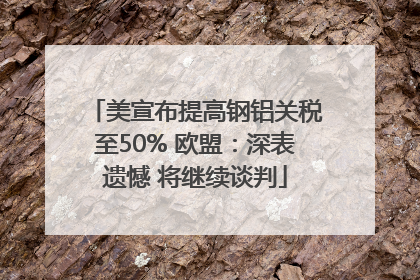 美宣布提高钢铝关税至50% 欧盟：深表遗憾 将继续谈判
