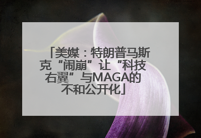 美媒：特朗普马斯克“闹崩”让“科技右翼”与MAGA的不和公开化