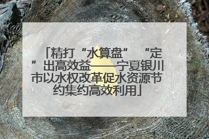精打“水算盘” “定”出高效益——宁夏银川市以水权改革促水资源节约集约高效利用