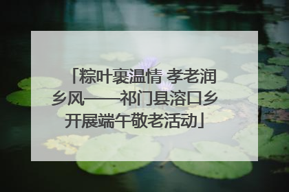 粽叶裹温情 孝老润乡风——祁门县溶口乡开展端午敬老活动