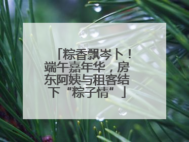 粽香飘岑卜！端午嘉年华，房东阿姨与租客结下“粽子情”