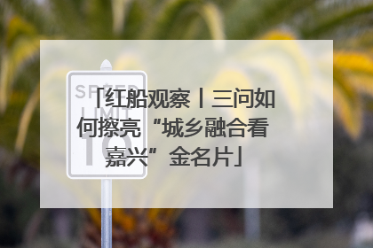 红船观察丨三问如何擦亮“城乡融合看嘉兴”金名片