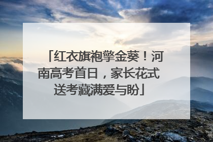 红衣旗袍擎金葵！河南高考首日，家长花式送考藏满爱与盼