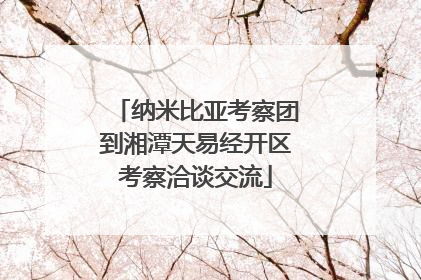 纳米比亚考察团到湘潭天易经开区考察洽谈交流