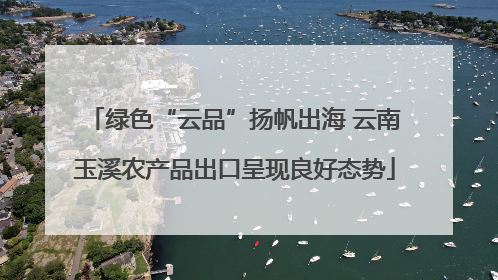 绿色“云品”扬帆出海 云南玉溪农产品出口呈现良好态势