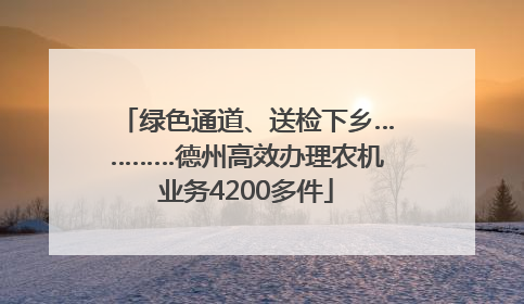 绿色通道、送检下乡…………德州高效办理农机业务4200多件