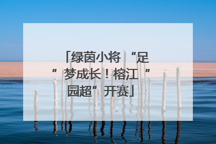 绿茵小将 “足”梦成长！榕江“园超”开赛