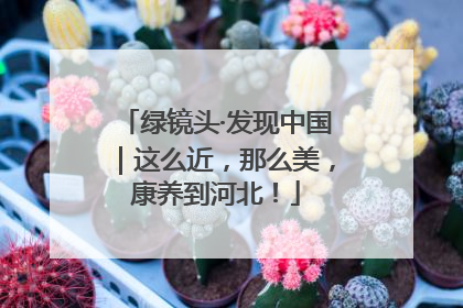 绿镜头·发现中国｜这么近，那么美，康养到河北！
