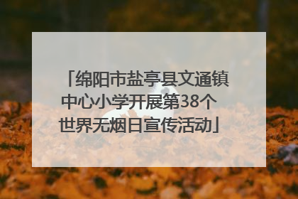 绵阳市盐亭县文通镇中心小学开展第38个世界无烟日宣传活动