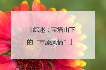 综述：宝塔山下的“草原风情”