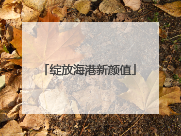 绽放海港新颜值