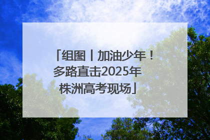 组图丨加油少年！多路直击2025年株洲高考现场