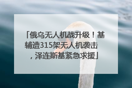 俄乌无人机战升级！基辅遭315架无人机袭击，泽连斯基紧急求援