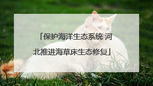 保护海洋生态系统 河北推进海草床生态修复