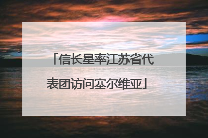 信长星率江苏省代表团访问塞尔维亚