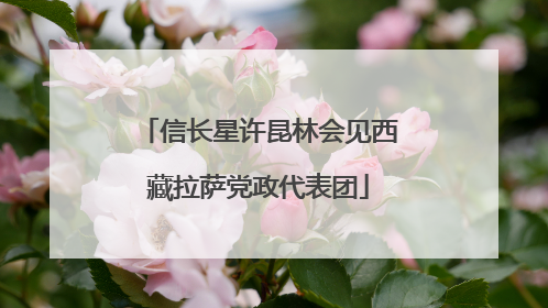 信长星许昆林会见西藏拉萨党政代表团
