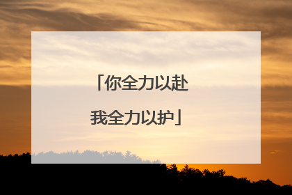 你全力以赴 我全力以护