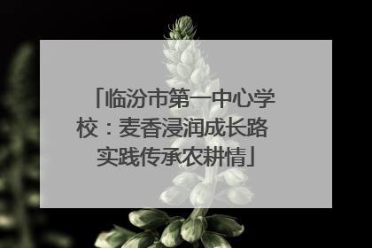 临汾市第一中心学校：麦香浸润成长路 实践传承农耕情